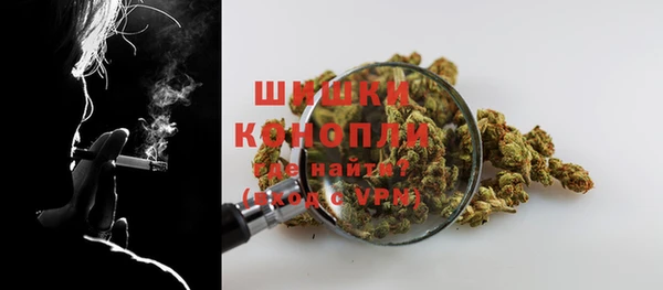 сатива Кукмор