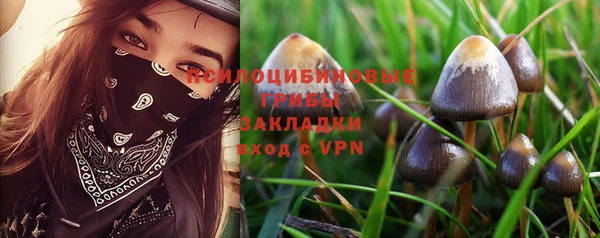 каннабис Куйбышев
