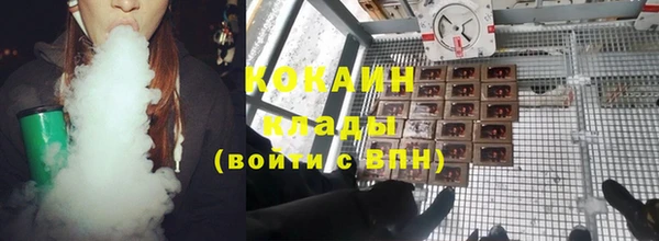 сатива Кукмор