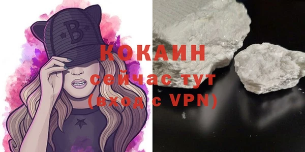 сатива Кукмор