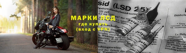 сатива Кукмор