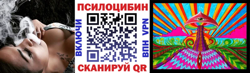 Псилоцибиновые грибы Psilocybine cubensis  закладка  Новочеркасск 