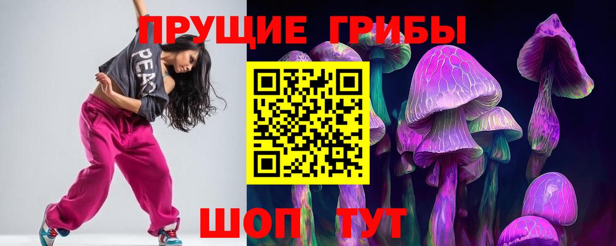 Новочеркасск  Псилоцибиновые грибы Cubensis  Вход с VPN 